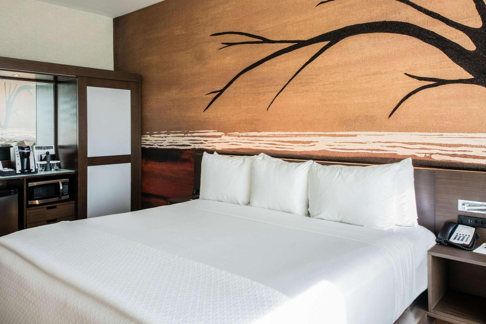 Cambria Hotel Mcallen Convention Center Екстериор снимка