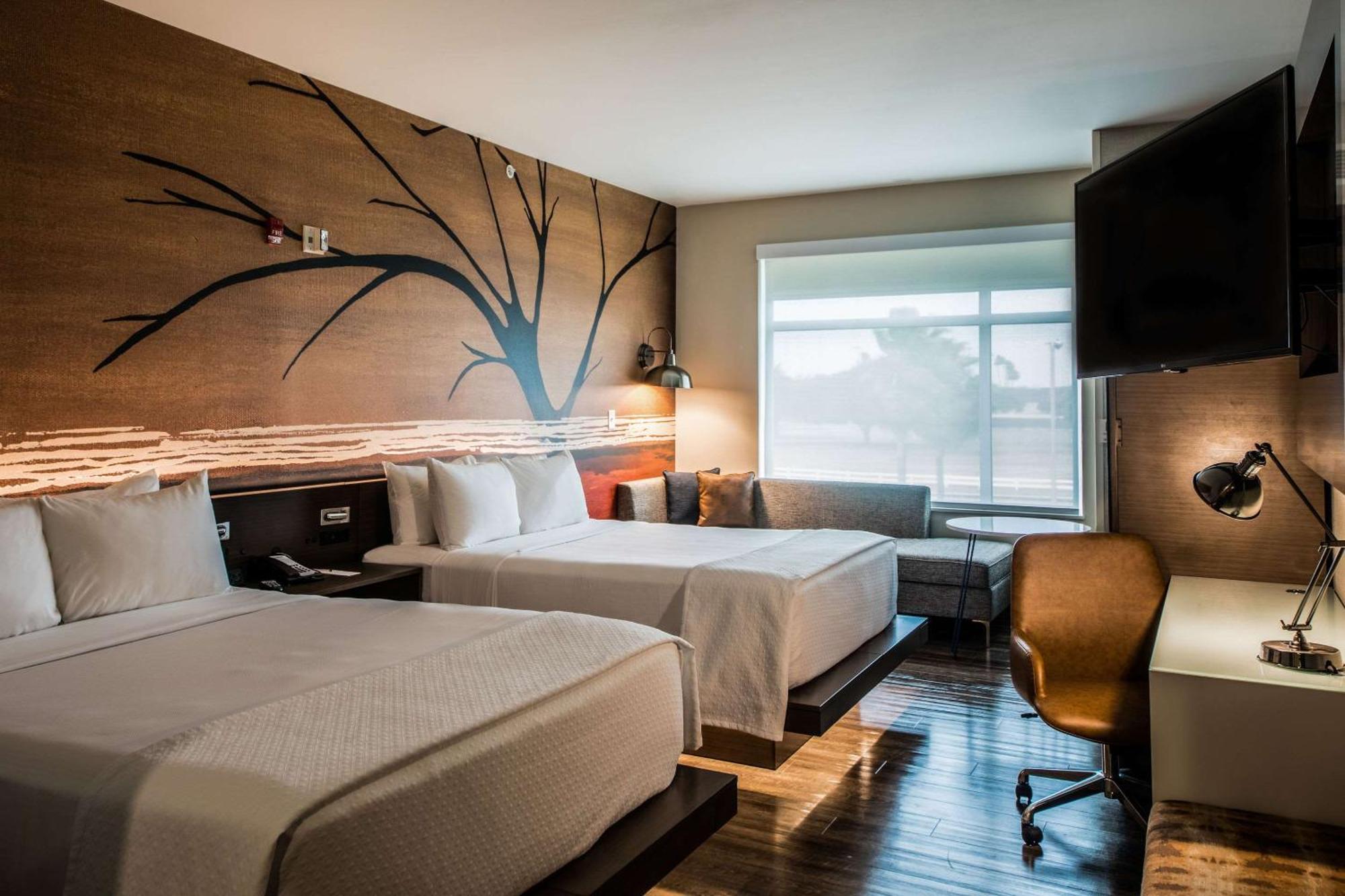 Cambria Hotel Mcallen Convention Center Екстериор снимка